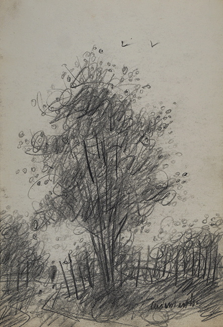 Walk in summer breeze